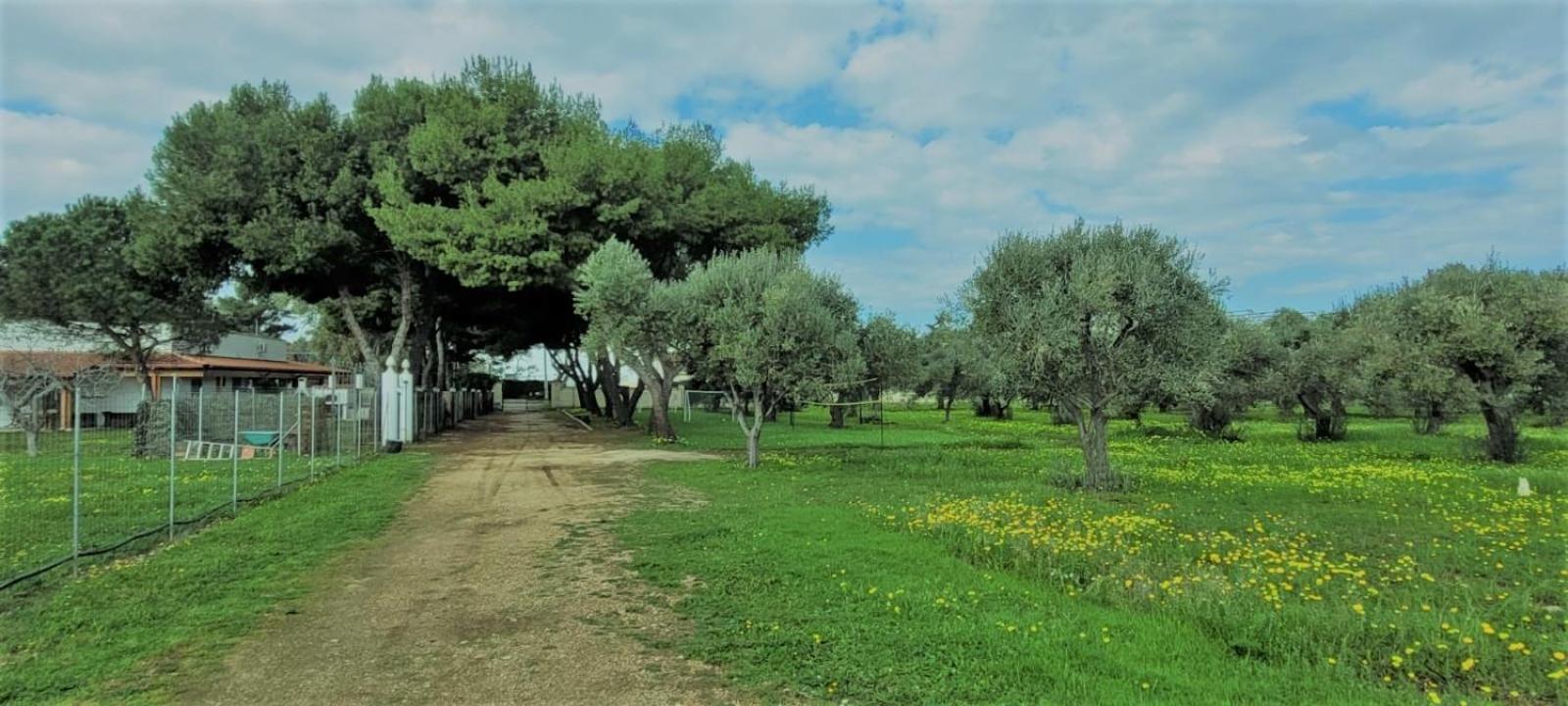 Villa Laura Bari Zewnętrze zdjęcie