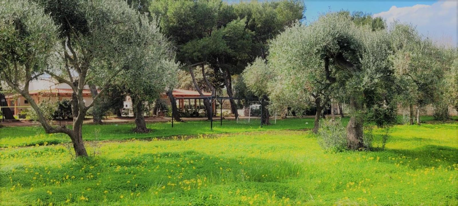 Villa Laura Bari Zewnętrze zdjęcie